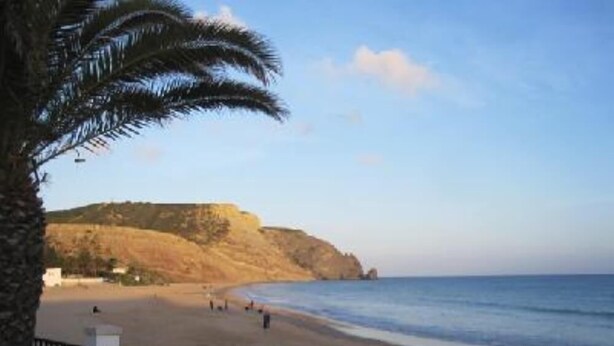 Uma praia com palmeira, areal e falésia rochosa ao fundo.