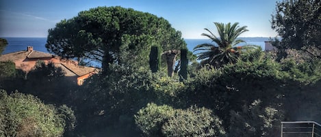 Piscina a l'aire lliure i piscina climatitzada