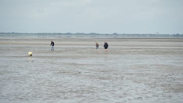 Beach nearby, sun-loungers