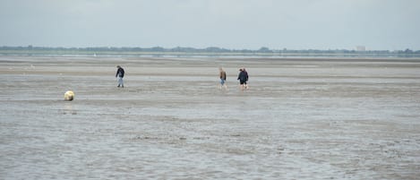 Plage à proximité, chaises longues