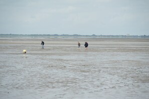 Vlak bij het strand, ligstoelen