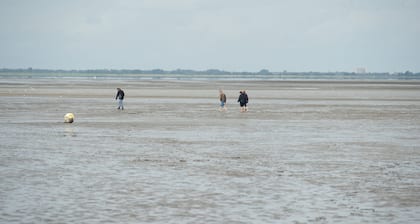 Mökki TW ranta / meri. Büsum u. St. Peter-Ording, Kotieläimet tervetuloa