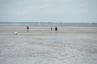 Cottage en tw playa / mar. Büsum u. St. Peter-Ording, Se aceptan mascotas