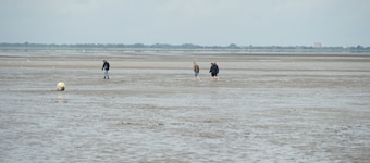 Cottage på tw strand / hav. Büsum u. St. Peter-Ording, Kæledyr er velkomne