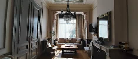 Smart TV, fireplace, books