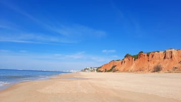 Perto da praia, espreguiçadeiras, toalhas de praia