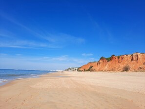 ビーチの近く、サンラウンジャー、ビーチタオル