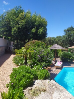 Pool - Villa with swimming pool near the beach, river and mountain. (Zonza)
