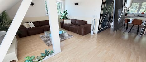 TV connectée, cheminée, lecteur de DVD, chaîne hi-fi