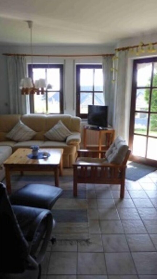 Télévision, cheminée, chaîne hi-fi