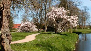 A park with a curved path, cherry blossom trees, a pond, and a building with a red roof in the background. - Modern, large 4 star house w/sauna and fireplace - 800m to the North Sea shore (Dornumersiel)