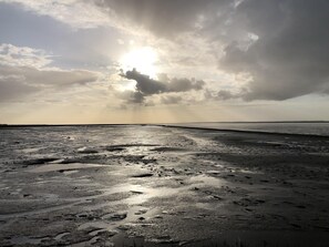 Vlak bij het strand, ligstoelen