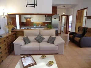 TV, lareira, DVD player, mesa de pingue-pongue