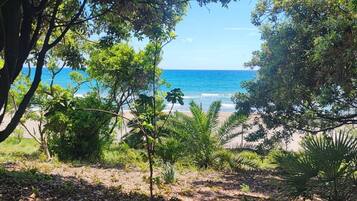 Ubicación a pie de playa, tumbonas y toallas de playa