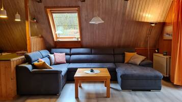 Fernseher
