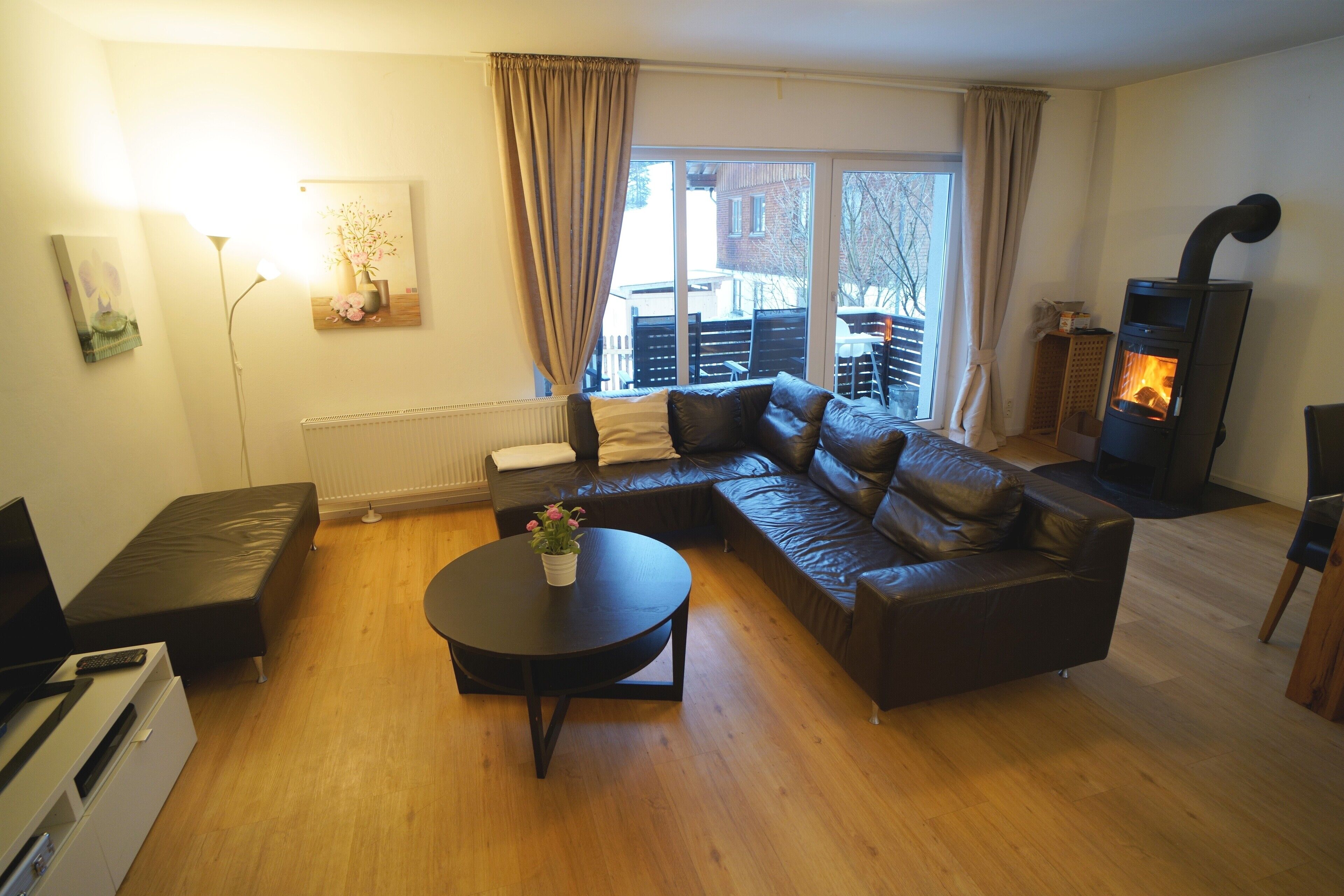 電視、壁爐、DVD 播放機、書籍