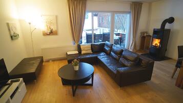 Télévision, cheminée, lecteur de DVD, livres