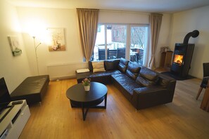 Tv, eldstad, dvd-spelare och böcker