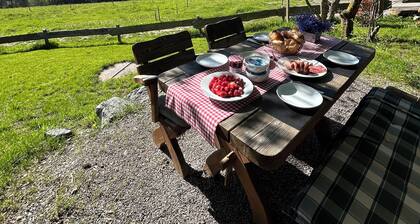 Detached cottage in an unspoilt south-facing slope at 1000m, forest edge