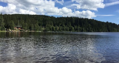 Freistehendes Ferienhaus in unverbauter Südhanglage auf 1000m, Waldrand