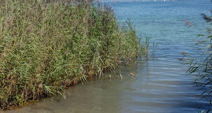 Höri Ferienhaus am idyllischen Untersee, Künstlerwinkel am Bodensee