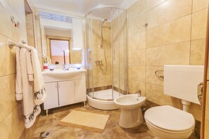 Shower, hair dryer, bidet, towels
