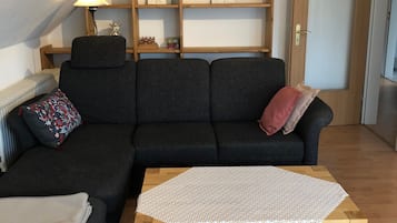 Fernseher