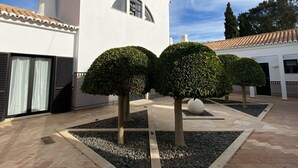 Une cour avec un bâtiment blanc, trois arbres taillés en forme de sphère et un toit recouvert de tuiles.