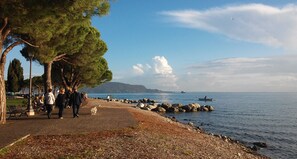 Stroll along the lakeside promenade, lined with trees and benches, and enjoy the serene views of the water and distant mountains.