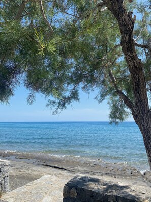 A rocky shoreline with clear blue water and a tree providing shade. - A house by the sea. (Tsoutsouros)