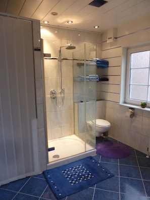 Shower, hair dryer, towels, soap
