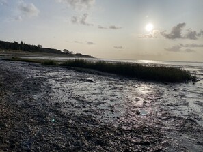 海灘、躺椅、沙灘巾