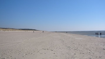 Plage à proximité, chaises longues, serviettes de plage