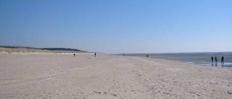 En la playa, camastros y toallas de playa