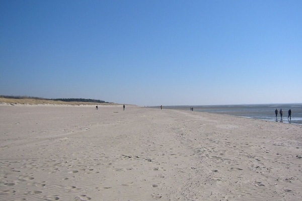 Plage, chaises longues, serviettes de plage