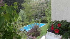 Vista de uma piscina cercada por vegetação exuberante e árvores.