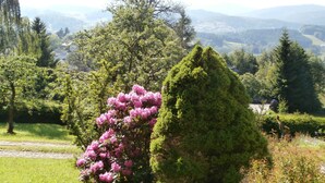 Um jardim com uma árvore de flores rosa em destaque e uma árvore cónica bem aparada.