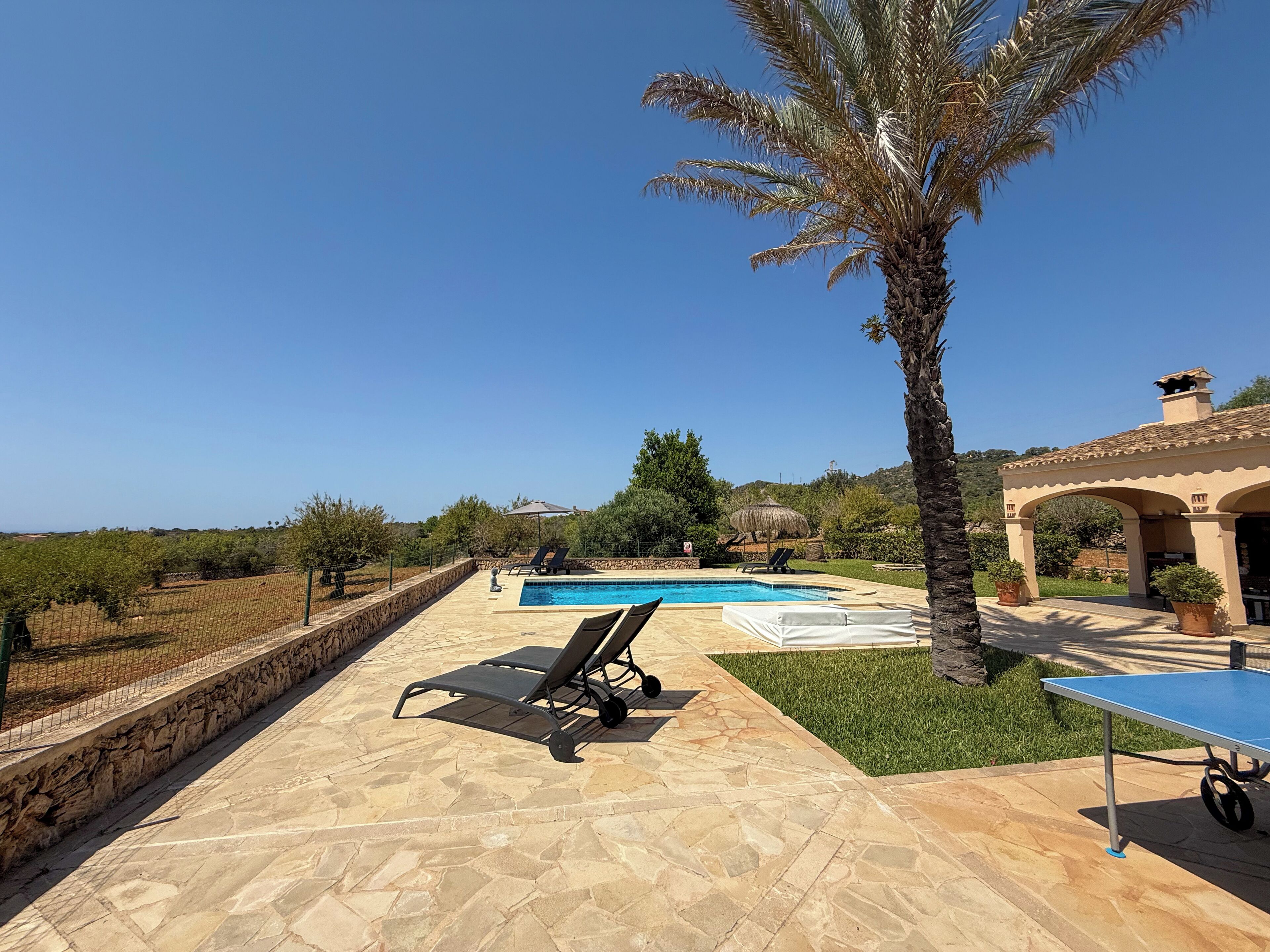 A swimming pool with lounge chairs, a palm tree, and a pergola.