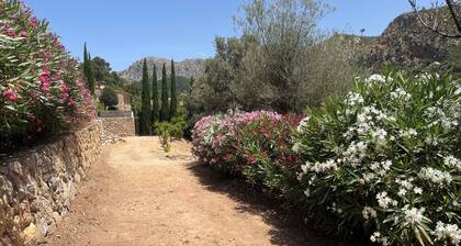 Holiday at the country house CAN JUAN
