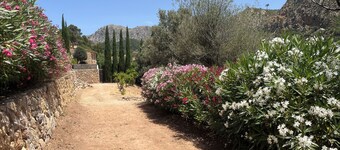 Holiday at the country house CAN JUAN