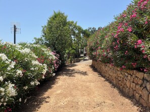 Property grounds - Holiday at the country house CAN JUAN (Andratx)