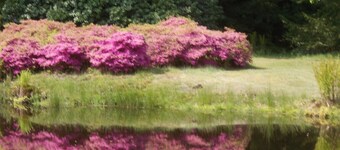 Moderne Nichtraucher Ferienwohnung im Souterrain  mit Garten WLAN