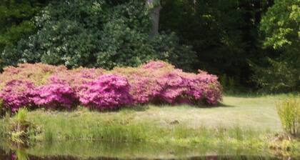 Non smoking apartment in the maritime flair garden with beach chair bicycle WiFi
