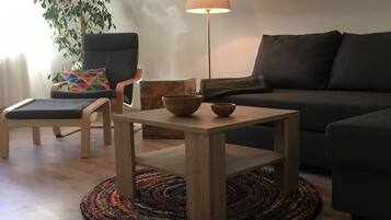 Fernseher, DVD-Player, Tischtennisplatte, BĂŒcher