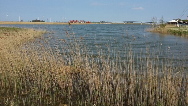 Rustig water met hoog gras op de voorgrond, een brug op de achtergrond en windturbines aan de horizon.