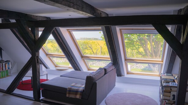 A loft bedroom with a skylight, a sofa bed, a red rug, and a bookshelf.