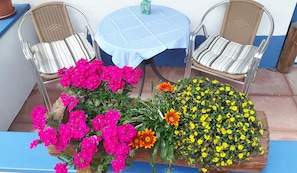 Relax in this charming seating area with two comfortable chairs and a table, surrounded by lush potted plants.