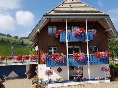  Nähe Freiburg, Wandern, Rad+Motorrad fahren, TOP- WLAN, Erholung pur!!!