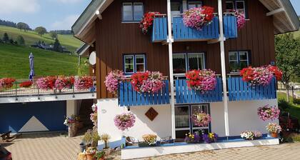 Nähe Freiburg, Wandern, Rad+Motorrad fahren, TOP- WLAN, Erholung pur!!!