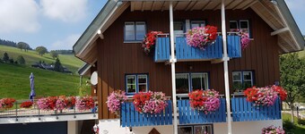 Modern and cosy holiday flat on the Freiburger mountain at Schauinsland